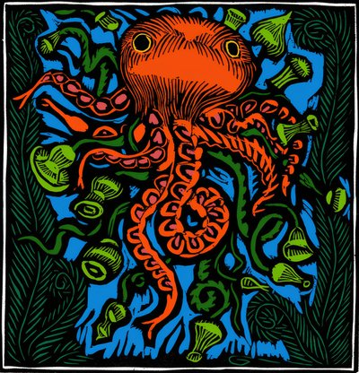 动物学 / 海洋生物 / 章鱼 作者 拉乌尔·杜菲