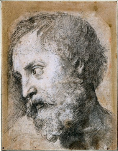 使徒变身研究的负责人，1519年至1520年 作者 拉斐尔（Raffaello Sanzio Raphael）