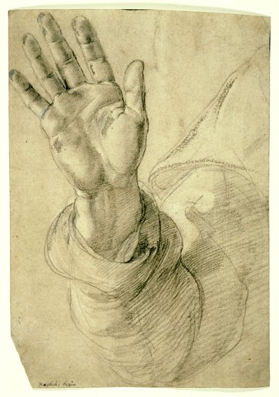 右手举起，手掌朝外：研究圣彼得，1518-20年 作者 拉斐尔