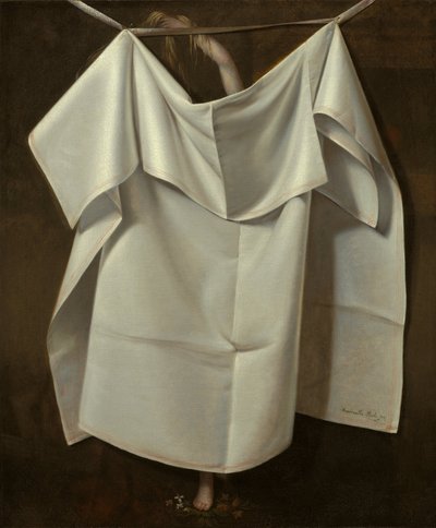 金星从海上升起-欺骗 作者 拉斐尔·皮尔（Raphaelle Peale）