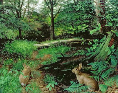 森林中--仲夏之夜（木板油画） 作者 雷蒙德·布斯