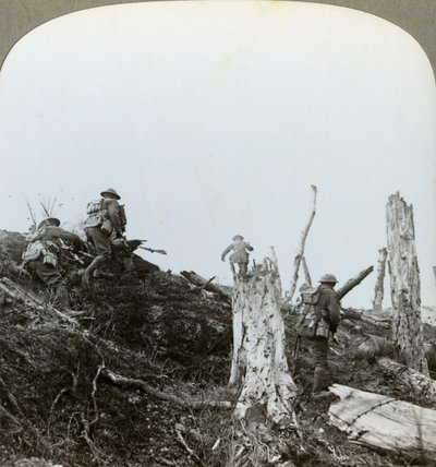 第一次世界大战，1916年，法国索姆，特隆斯·伍德袭击 作者 现实旅行社