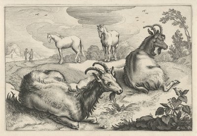 两只山羊和两匹马的风景
Diversa Animalia Quadrupedia（系列名称） 作者 雷尼尔·范·佩西恩