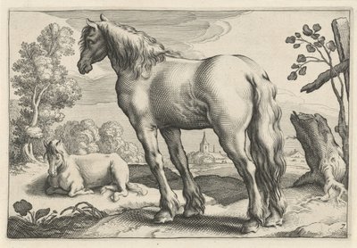 两匹马的风景
Diversa Animalia Quadrupedia（系列名称） 作者 雷尼尔·范·佩西恩