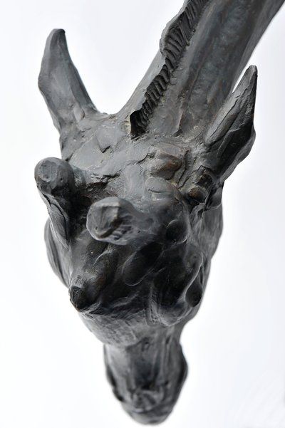 降低头部的大型长颈鹿，模型于1909-10，铸造于1913年之前（青铜）（另请参阅3084917-43） 作者 伦勃朗·布加迪