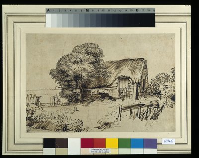 一棵大树旁的茅草屋，一个坐在外面的人物，c.1648-52（纸上笔墨） 作者 伦勃朗·哈门斯。范赖恩