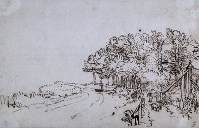 特伦堡附近Amsteldijk河头的灌木丛，约1649年（纸上笔墨）。 作者 伦勃朗·哈门斯。范赖恩