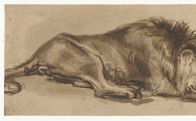 狮子睡觉的研究 作者 Rembrandt van Rijn（复制后）