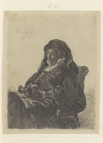 戴着黑手套的寡妇伦勃朗的母亲
Recueil de quatre-vingt-cinq estampes originales（系列名称） 作者 Rembrandt van Rijn (学校)