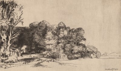 有景观的树丛，1652年。 作者 伦勃朗·范·赖恩
