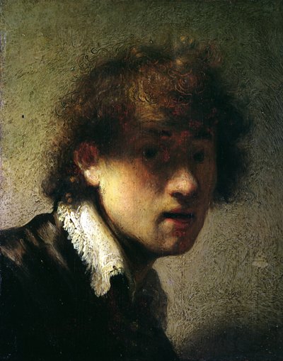 1629年年轻人或自画像的头 作者 Rembrandt van Rijn