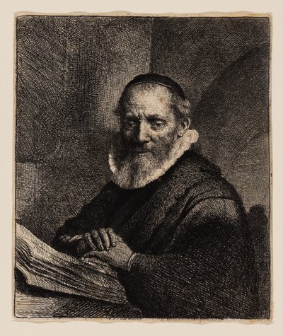 Jan Cornelius Sylvius 作者 伦勃朗·范·赖恩