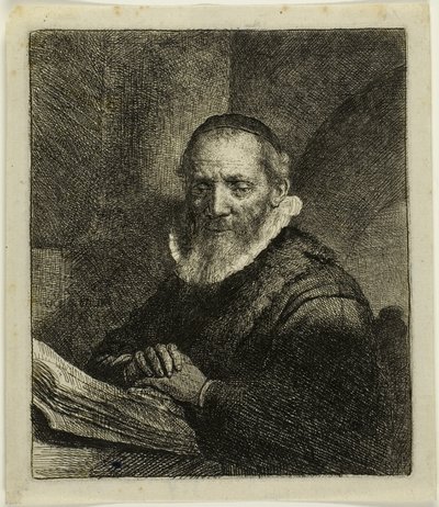 Jan Cornelius Sylvius 作者 伦勃朗·范·赖恩