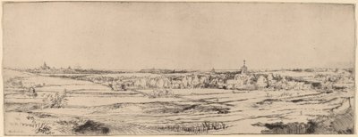 面向哈勒姆的风景画 《金威格的土地》，1651年。 作者 伦勃朗·范·赖恩