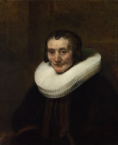 玛格丽特·德·盖尔（Margaretha de Geer）肖像，雅各布·特里（Jacob Trip）的妻子，1661年 作者 伦勃朗·范·赖恩