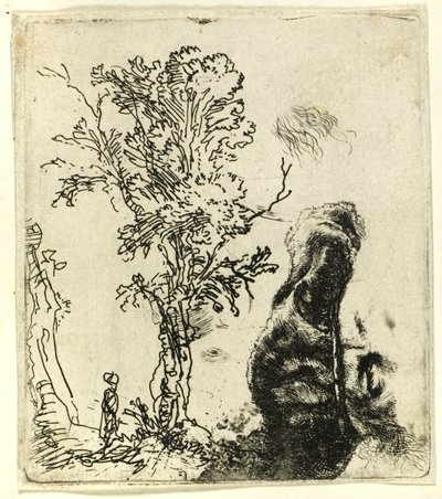 附有两幅研究作品的画布：一棵树和戴着天鹅绒帽子的艺术家的头部上半部分 作者 伦勃朗·范·赖恩