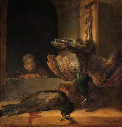 静物与孔雀，c.1639 作者 Rembrandt van Rijn