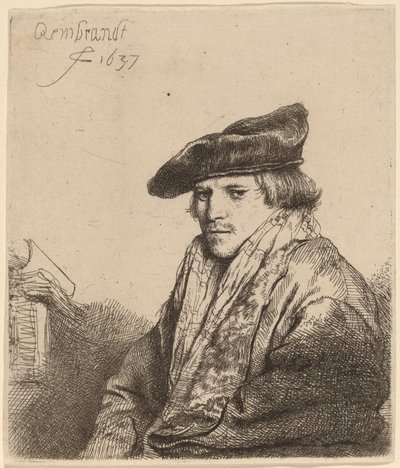 戴天鹅绒帽子的年轻人 (Ferdinand Bol?) 作者 伦勃朗·范·赖恩