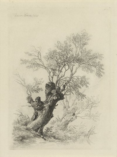 柳树 作者 雷米纽斯·阿德里安·哈南（Remigius Adrianus Haanen）
