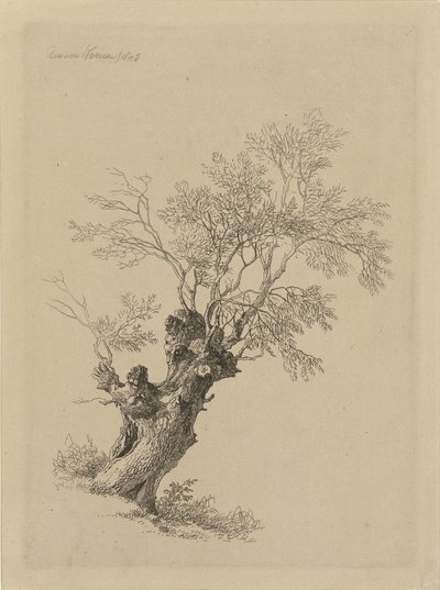 柳树 作者 雷米纽斯·阿德里安·哈南（Remigius Adrianus Haanen）
