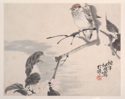 动物，花卉和鸟类，十九世纪。 作者 任义