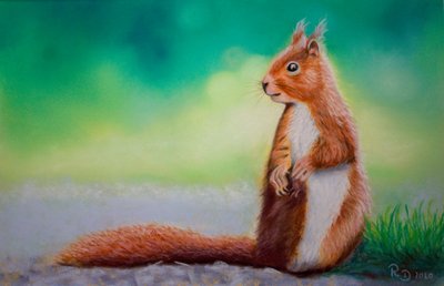 松鼠 作者 Renate Dohr