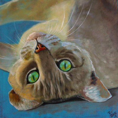 猫运气 作者 Renate Dohr