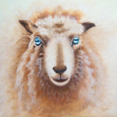 羊 作者 Renate Dohr