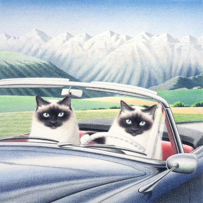 驾车游览 作者 勒内·博安