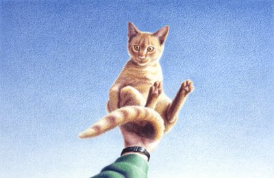 一把 作者 勒内·博安