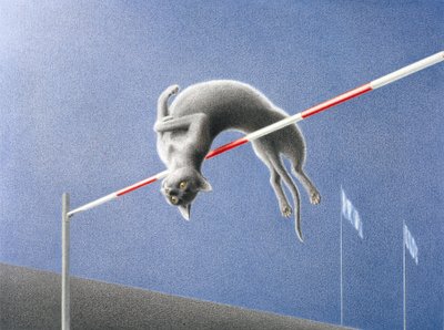 跳转 作者 勒内·博安