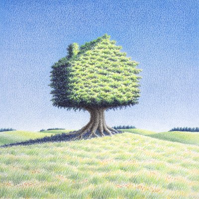 树屋 作者 勒内·博安