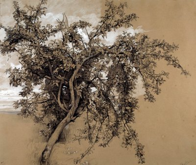 木炭苹果树 作者：Rene Ernest Huet (1876-1914) 1913 巴黎，奥赛博物馆 作者 勒内·欧内斯特·休特