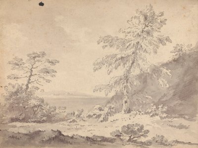 风景中的两棵树 作者 威廉·吉尔平牧师