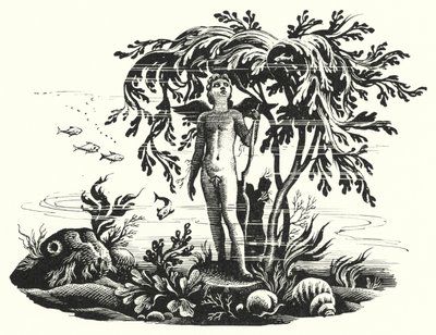安徒生：《小美人鱼》（石版画 作者 雷克斯（后）惠斯勒