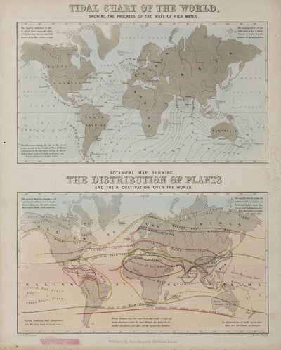潮汐图和世界各地植物的分布图，约1850年 作者 理查德（后）爸爸