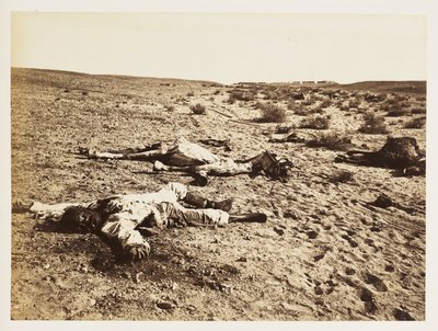 1882年12月6日，在埃及Tel-el-Kebir的死亡士兵 作者 理查德（后）爸爸
