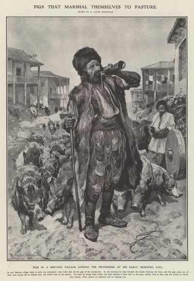 Pigs that marshal themselves to pasture (litho) 作者 理查德·卡顿二世（之后）伍德维尔