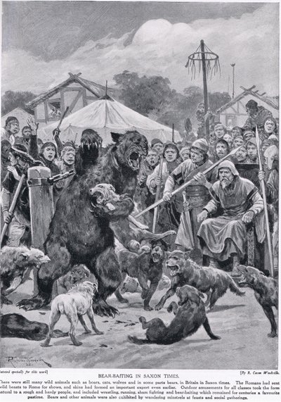 撒克逊时代的熊诱饵，来自&39;和记的英国民族的故事&39;，c.1920 作者 理查德·卡顿·伍德维尔