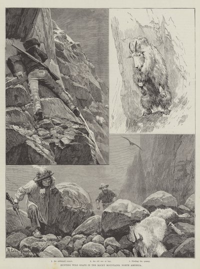 狩猎野山羊在洛矶山脉，北美洲 作者 Richard Caton Woodville junior