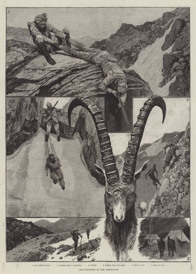 Ibex-Shooting在喜马拉雅山雕刻 作者 Richard Caton Woodville junior