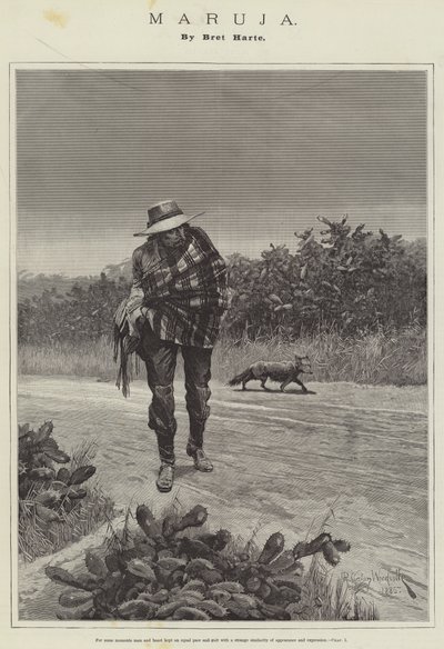 Maruja，Bret Harte 作者 Richard Caton Woodville junior