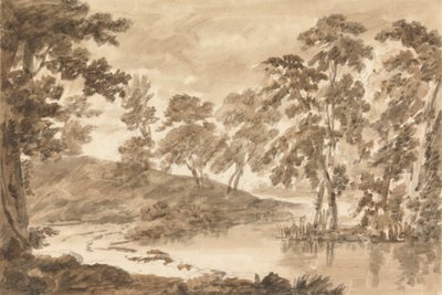林地景观 作者 理查德·库珀（Richard Cooper）