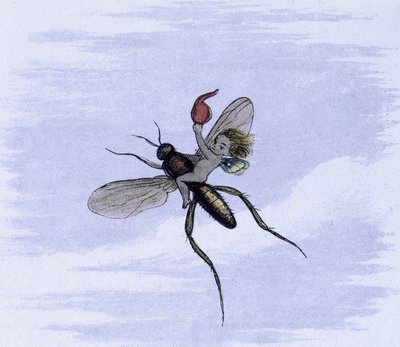 一只昆虫的翅膀上。理查德-多伊尔绘制的《童话世界》插图。来自精灵世界的系列图片 "配 W-阿林汉姆的诗歌。1869-1870.大英图书馆机构参考资料：书架标识 ID：1876 e18
水 作者 理查德·道尔