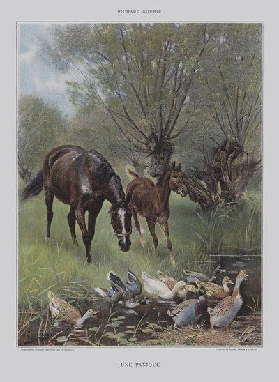 恐慌（恐慌） 作者 Richard Doyle