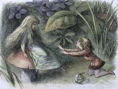 这一时期的睡莲和水仙"，约 1869 年至 1870 年（石版画） 作者 理查德·道尔