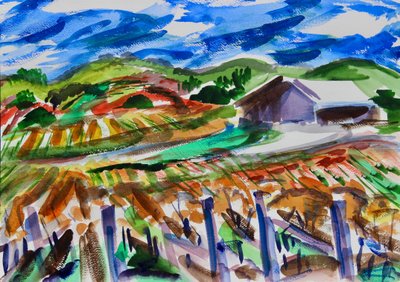 Napa in Autumn, 2017 作者 理查德·福克斯