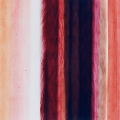 条纹 X，2005 年 作者 理查德·格林