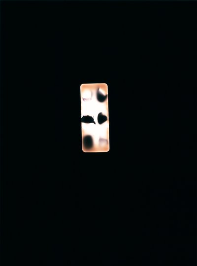 无题》，2004 年（独一无二的 c-type 照片） 作者 理查德·格林