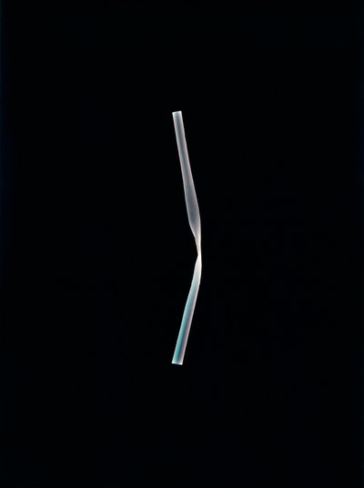 无题》，2004 年（独一无二的 c-type 照片） 作者 理查德·格林